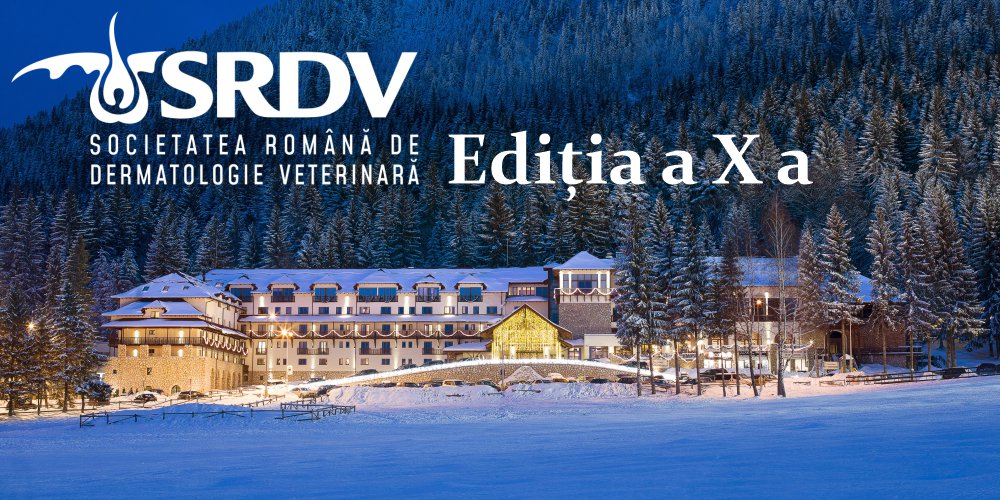 SRDV 2025