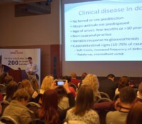 Workshop 2014